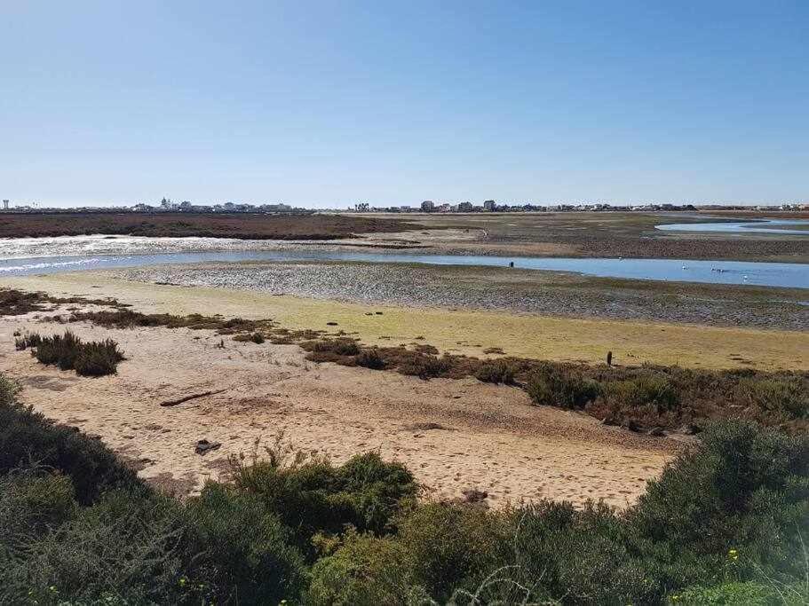 ファロ Ria Formosa Pineviewヴィラ エクステリア 写真