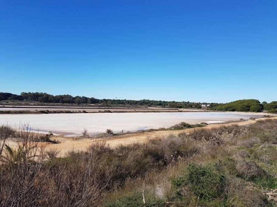 ファロ Ria Formosa Pineviewヴィラ エクステリア 写真