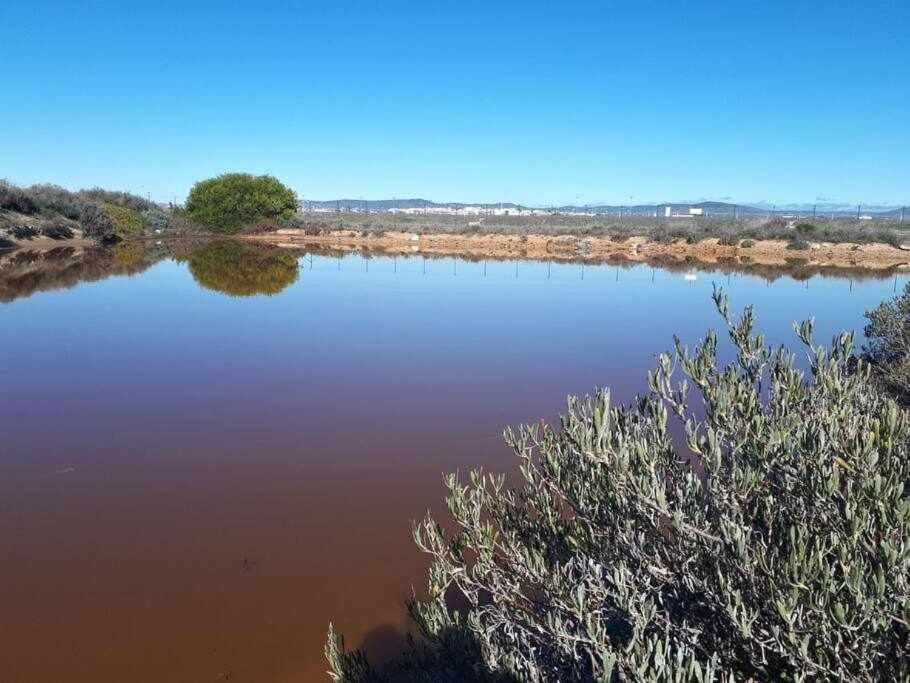 ファロ Ria Formosa Pineviewヴィラ エクステリア 写真