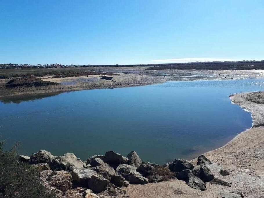 ファロ Ria Formosa Pineviewヴィラ エクステリア 写真